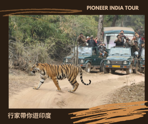 印度老虎保護區